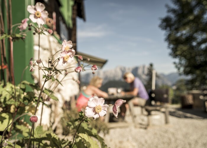 © www.stefanleitner.com