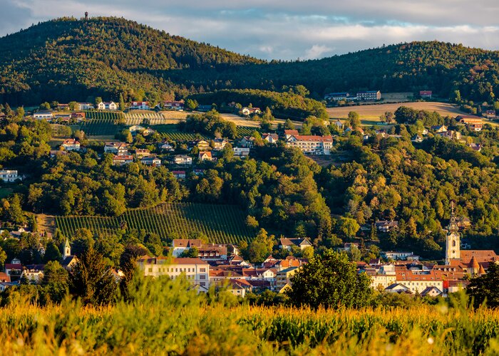 Hartberg landscape in late summer | © TV Oststeiermark | Wolfgang Spekner