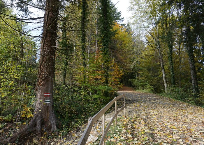 Wanderweg bei der Burgruine Waxenegg | ©  Oststeiermark Tourismus | Jasmin Perhofer