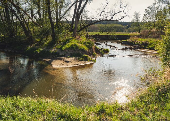 European Protected Area Lafnitzauen in Eastern Styria | © TV Oststeiermark | Bernhard Bergmann