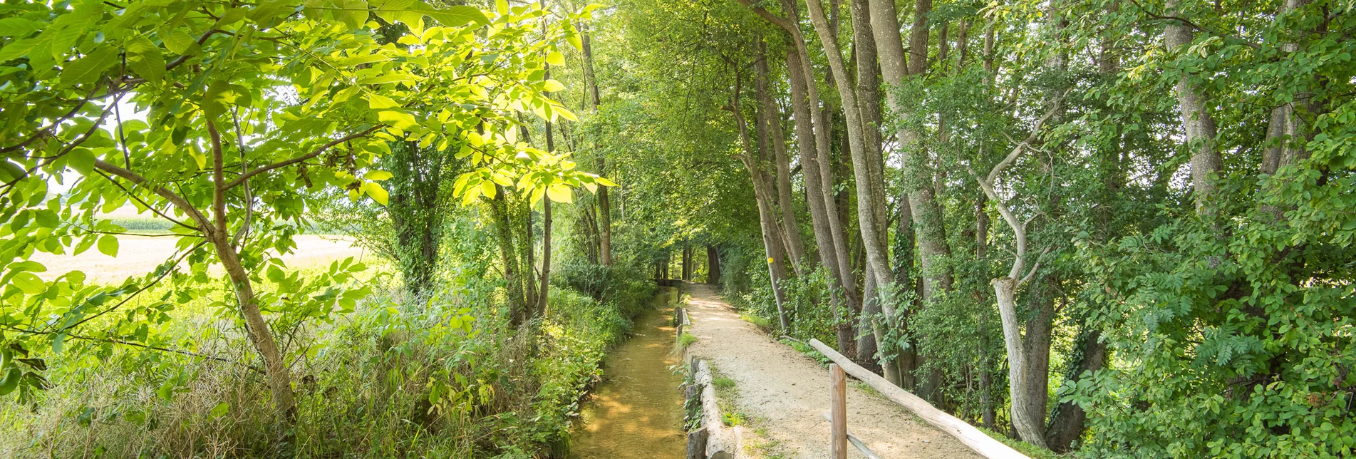 Barrierefreies Wandern in der Hinterbrühl in der Oststeiermark | © TV Oststeiermark | Helmut Schweighofer