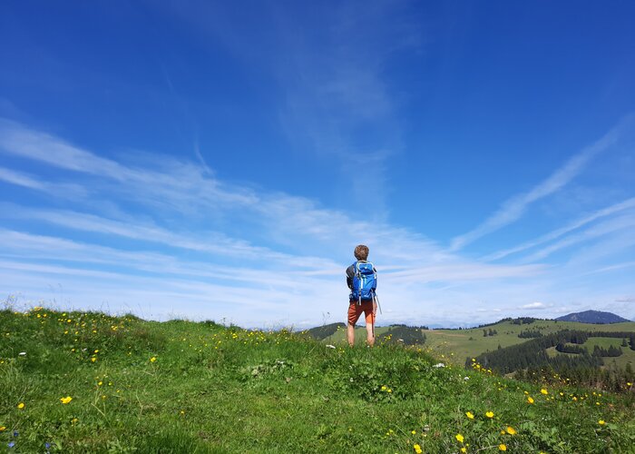 Wandern am Siebenkögel-Rundweg in der Oststeiermark | WEGES OG | © WEGES