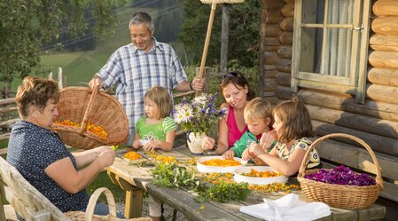 Kräuterlese beim Pöllabauer in der Oststeiermark | © TV Oststeiermark | Bernhard Bergmann