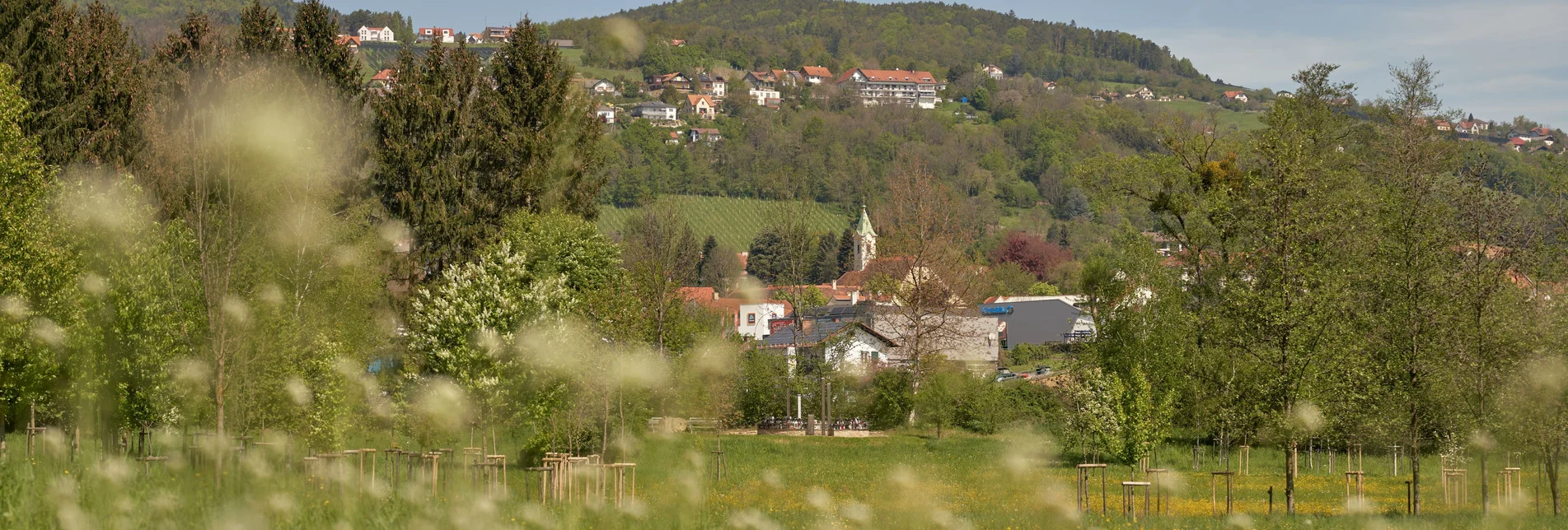 Frühlingslandschaft in Hartberg | © Oststeiermark Tourismus | Markus Lang-Bichl