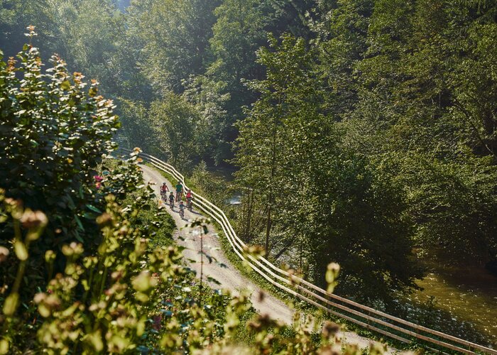 Family cycling in the Stubenbergklamm | © Oststeiermark Tourismus | Lang-Bichl - RKP