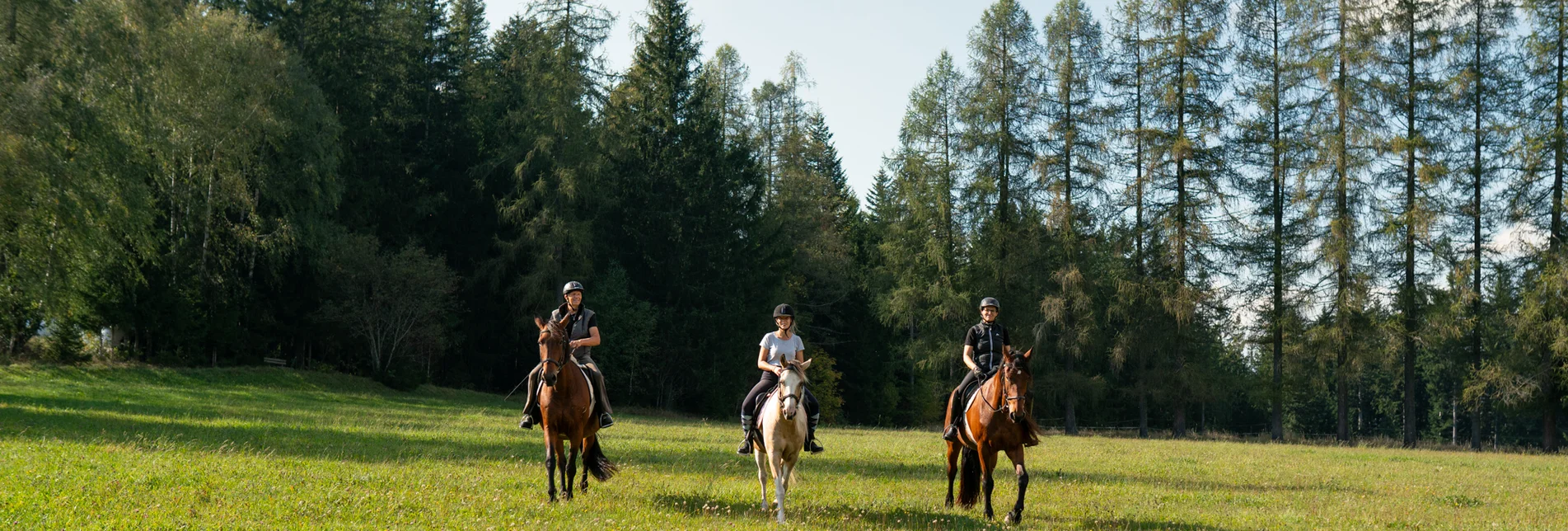 Riding in Joglland- Waldheimat in Eastern Styria | ©  Oststeiermark Tourismus | RKP Marketing