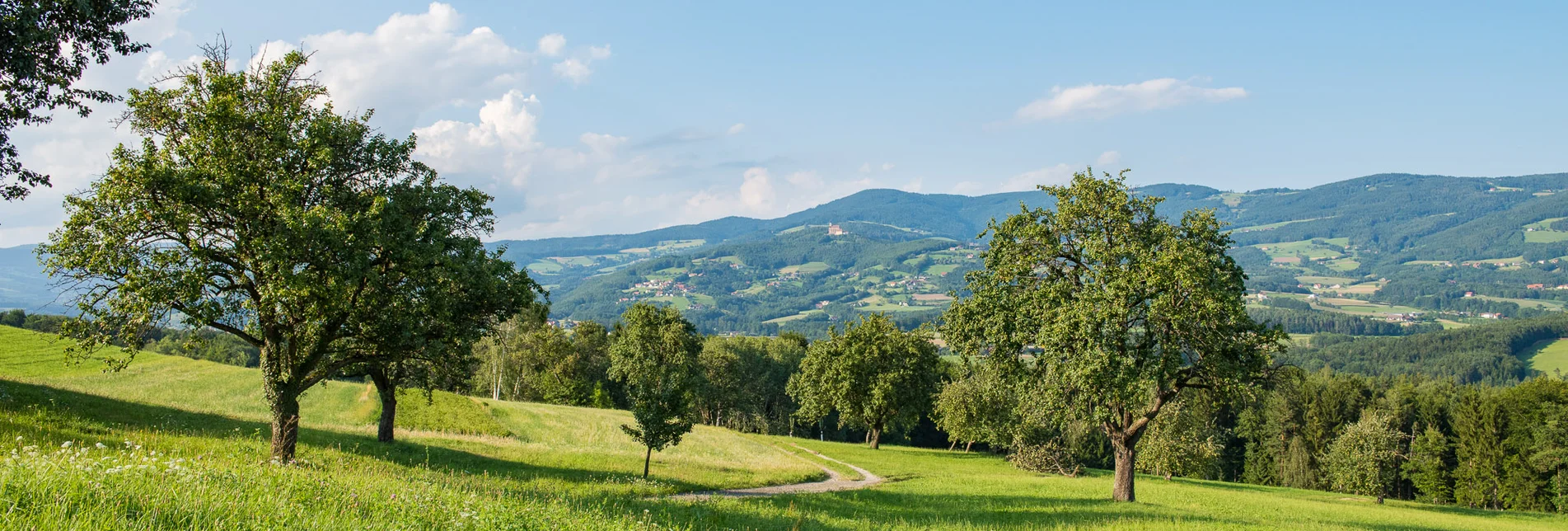 Naturpark Landschaft im Pöllauer Tal | © TV Oststeiermark | Helmut Schweighofer