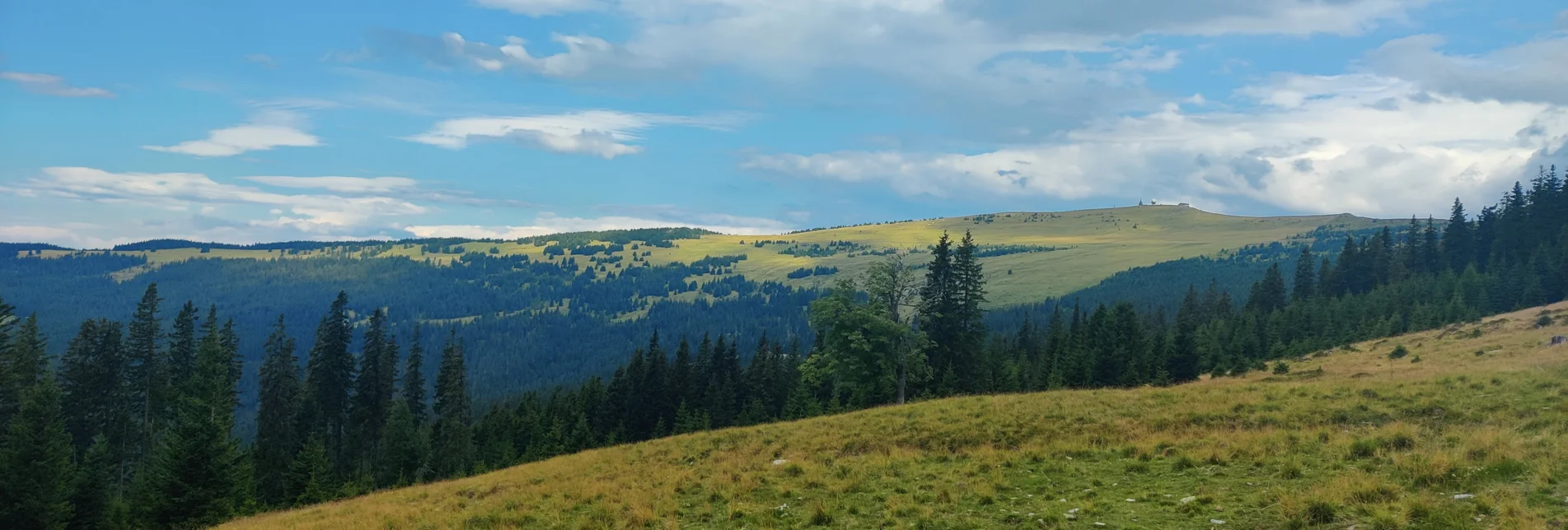 Auf der Alm mit Blick auf den Hochwechsel  | © TV Oststeiermark | Nicole Friesenbichler