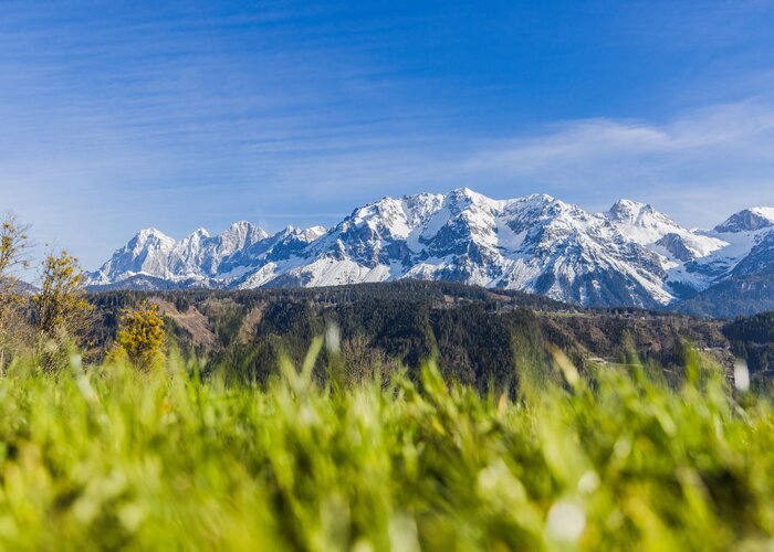 THEMENBILD, Frühling in den Bergen | © (c) Martin Huber - all rights reserved | Martin Huber