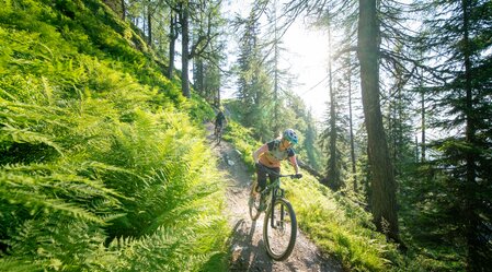 Reiteralm Trails | © TVB Schladming-Dachstein | Christoph Oberschneider | © Schladming-Dachstein / Christoph Oberschneider
