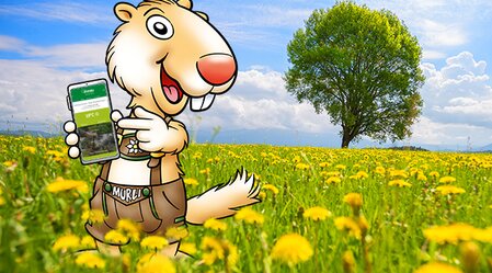 Murli - der Urlaubsbegleiter | © TV Murau