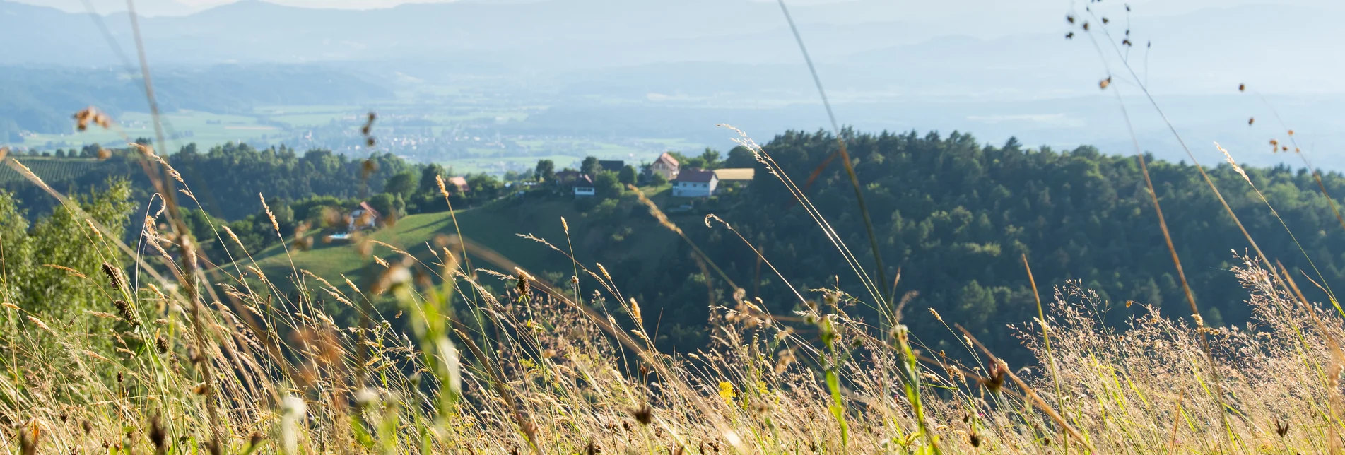 © Naturpark Südsteiermark | Webquartier e.U.