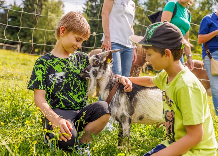 Familien - Erlebnispark | © Spekner | TV Murtal