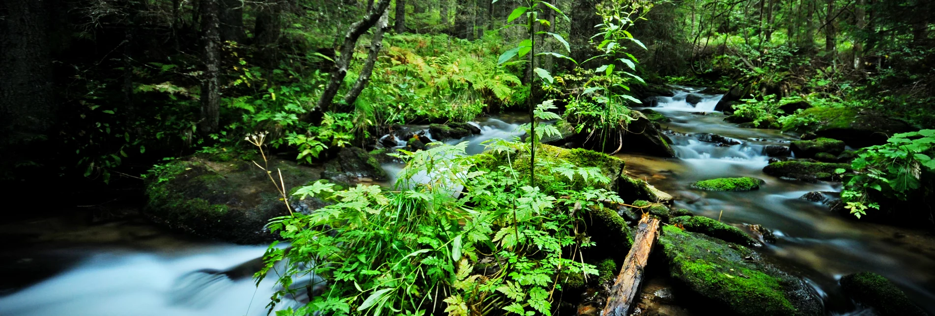 creek water summer | © Eberhard | TV Murtal