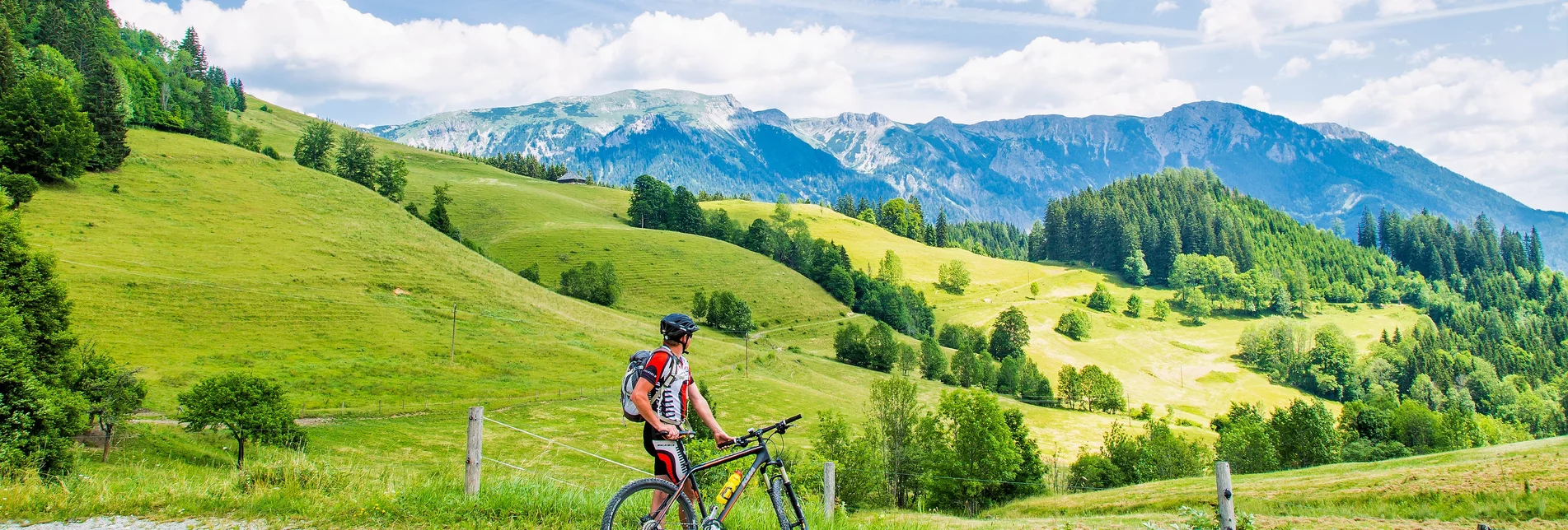 MTB Falkenstein  | © Naturpark Mürzer Oberland | nicoleseiser.at