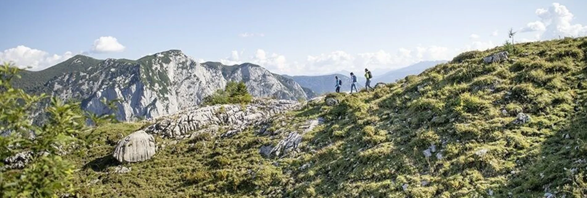 Trail Running Mountain tour on the Loser - Touren-Impression #1 | © Unbekannt