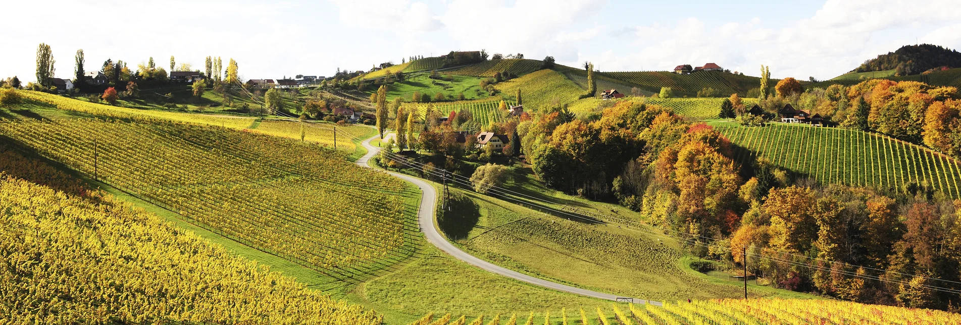 © Steiermark Tourismus | Gery Wolf | for press only!