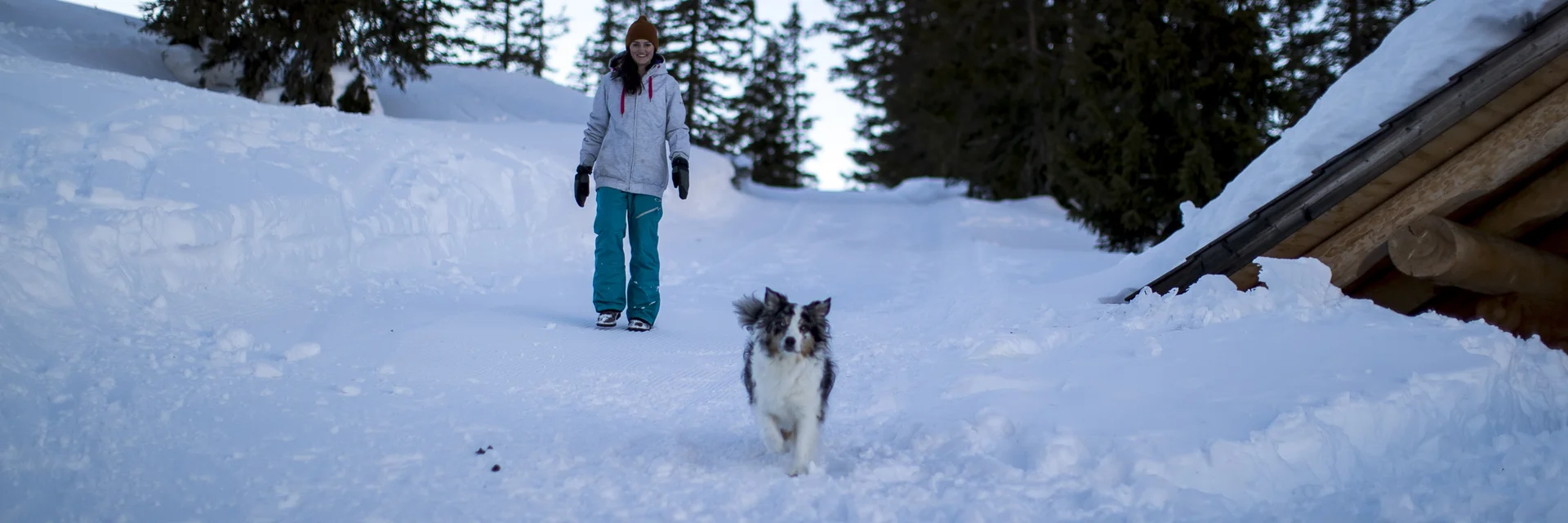 Urlaub mit Hund auf der Planneralm | © STG | Tom Lamm Urlaub mit Hund auf der Planneralm | © STG | Tom Lamm