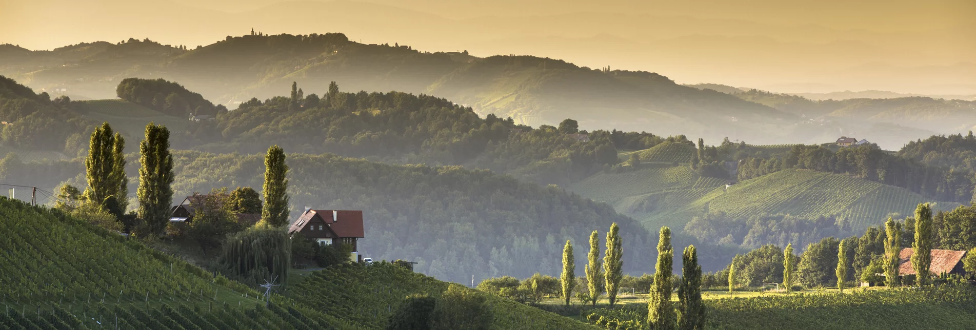 St. Veit in der Südsteiermark - Impression #1