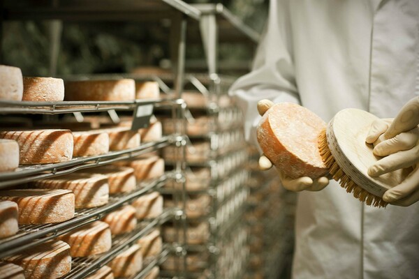 Mine Cheese_Cheese Maintenance_Easter Styria | © Almenland Stollenkäse