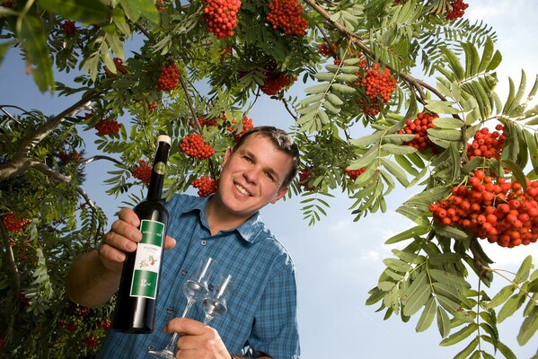 Disitillery Graf_Rowan Berry_Eastern Styria | © Edelbrennerei Graf