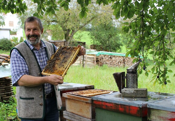 Beekeeping Kreiner_Bee Population_Eastern Styria | © Tourismusverband Oststeiermark