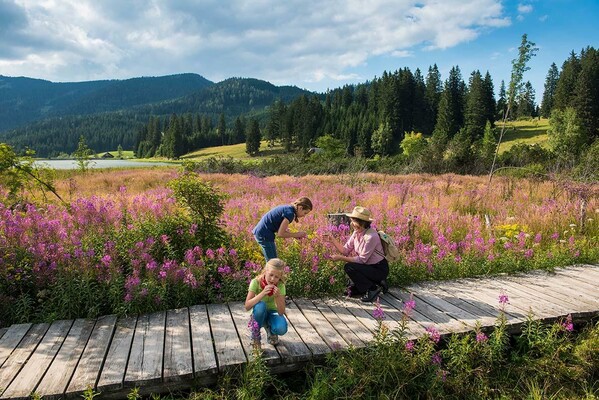 Teichalm Bog_Eastern Styria | © Naturpark Almenland