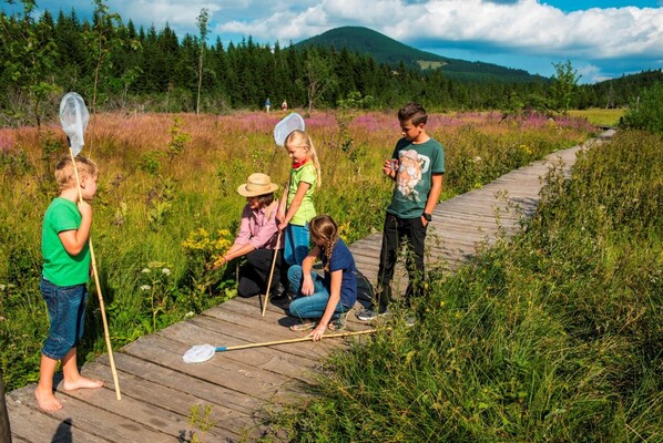 Teichalm Bog_Children_Eastern Styria | © Naturpark Almenland