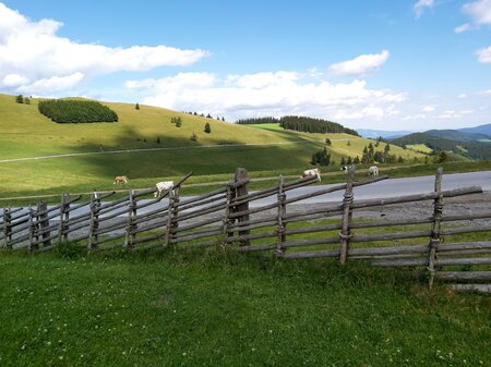 Stoakogl Hut_Sommeralm Street_Eastern Styria | © Tourismusverband Oststeiermark