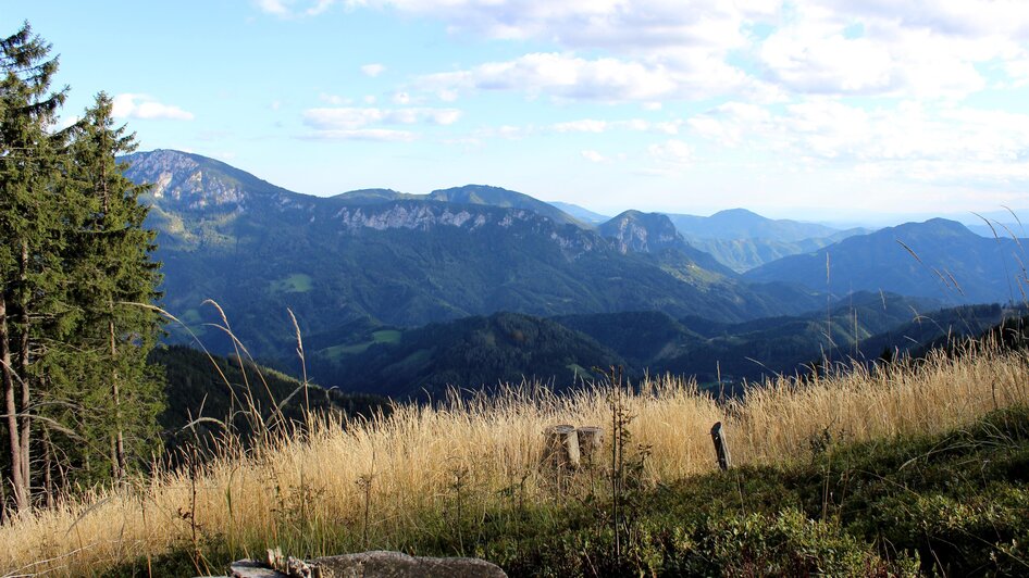 Bucheck-Sattel Ausblick_Oststeiermark_Pollhammer | © Tourismusverband Oststeiermark