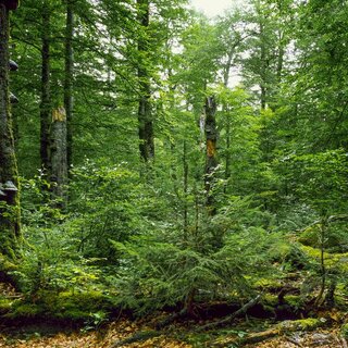 Klimawandel