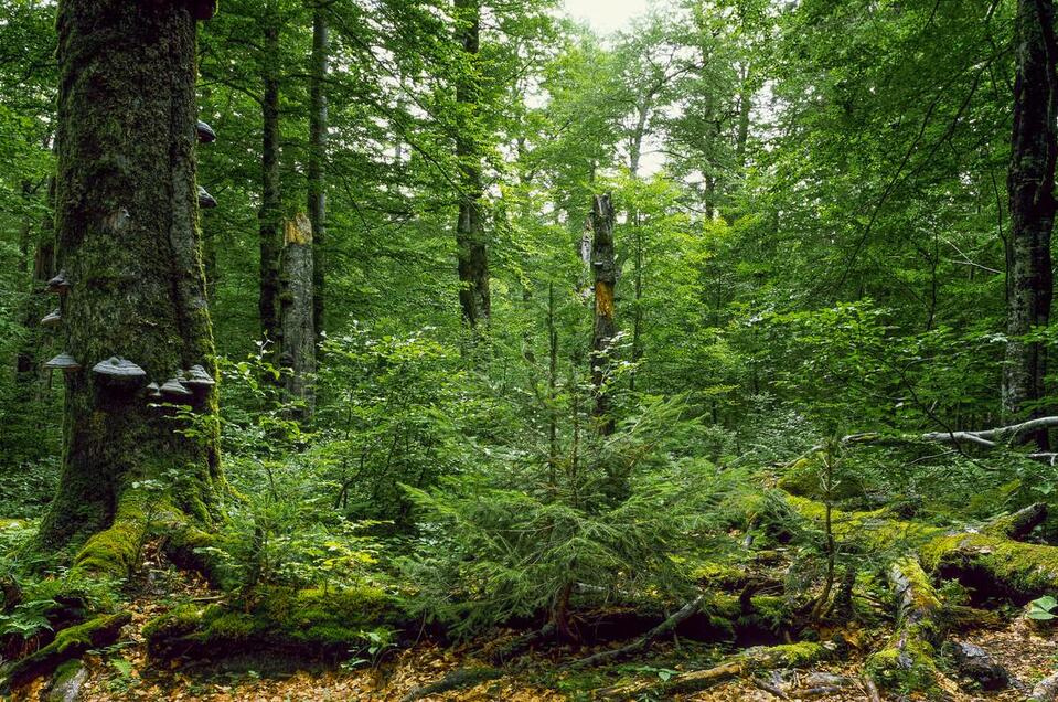 Klimawandel