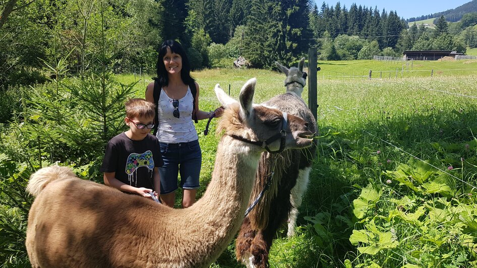 Lamawanderung mit Kids | © Lama-Touren auf der Alm-Orso-Gigleitner