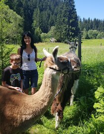 Lamawanderung mit Kids | © Lama-Touren auf der Alm-Orso-Gigleitner | © Lama-Touren auf der Alm-Orso-Gigleitner