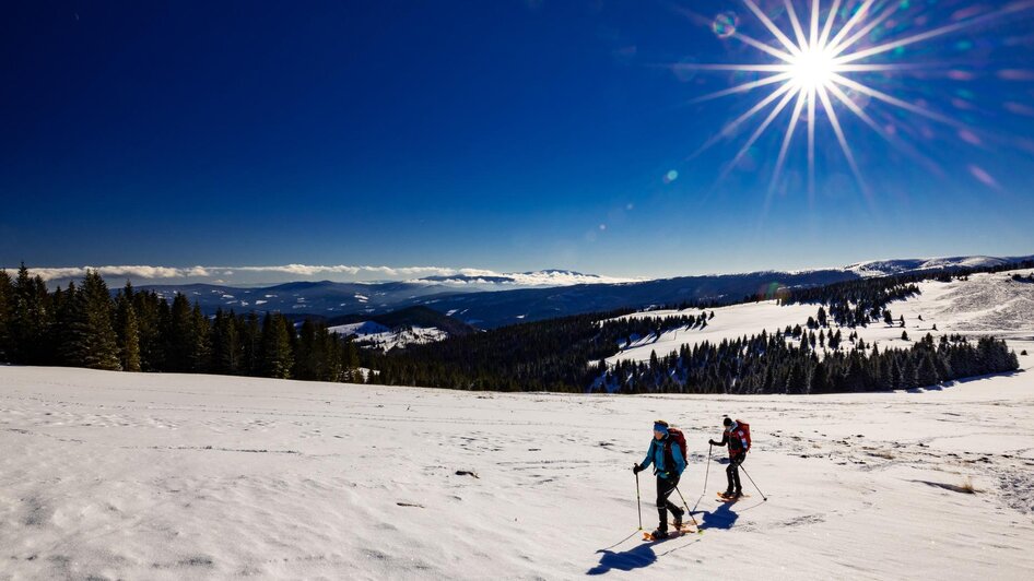 Geführte Wanderung: Schneeschuhwanderung zwischen Gaberl und Rappoldkogel - Impressionen #2.4