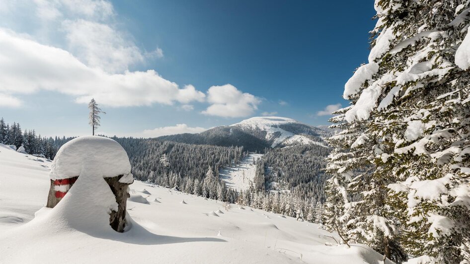 Geführte Wanderung: Schneeschuhwanderung zwischen Gaberl und Rappoldkogel - Impressionen #2.1