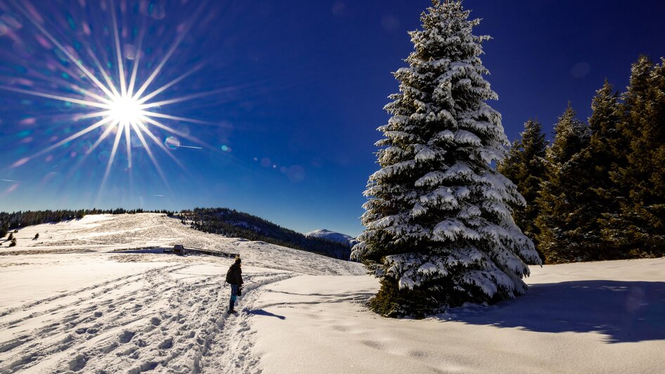 Wintersonne am Gaberl | © Region Graz-Harry Schiffer