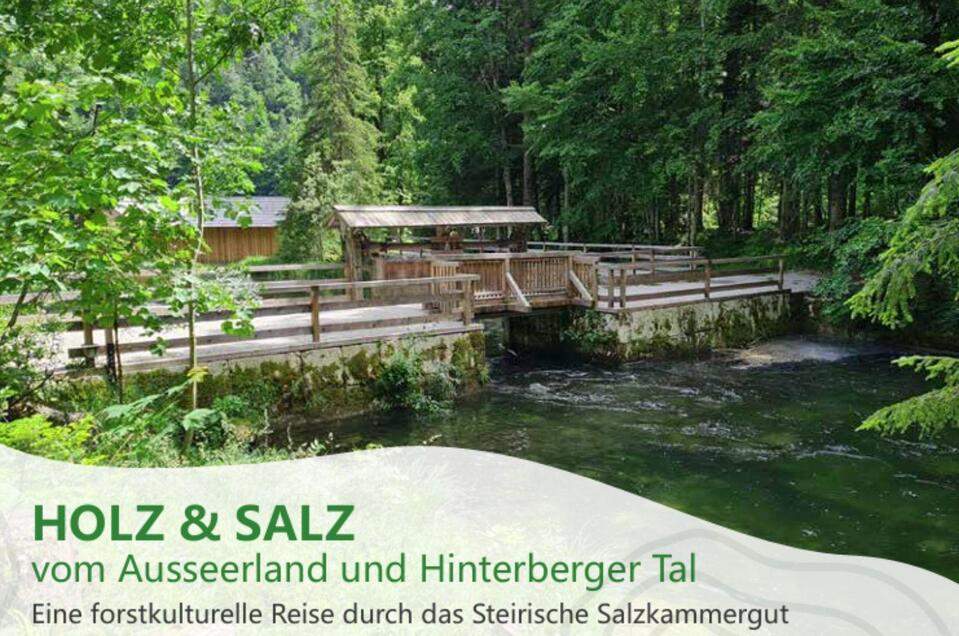 Holz & Salz, Grundlsee, Natur | © Kulturelle Arge