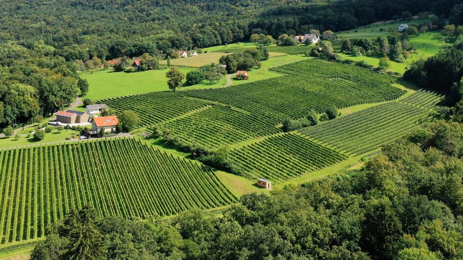 Große Lage Ried Buch | © STK Winzer, Weingut Frauwallner