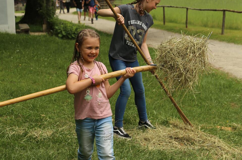 Kinderwelt in Haus und Hof - Impression #1