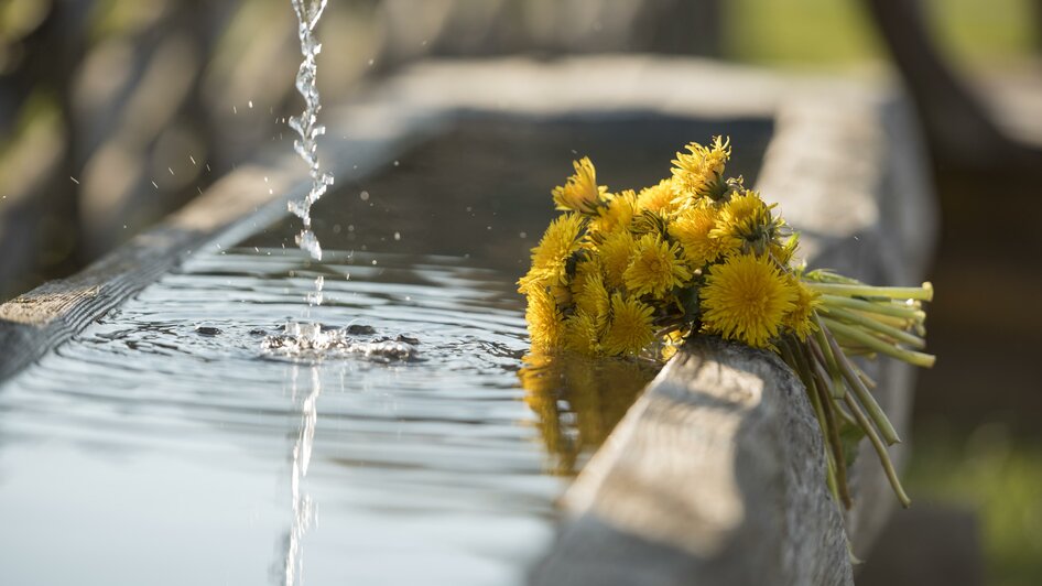 Löwenzahn_Brunnen_Oststeiermark | © Tourismusverband Oststeiermark
