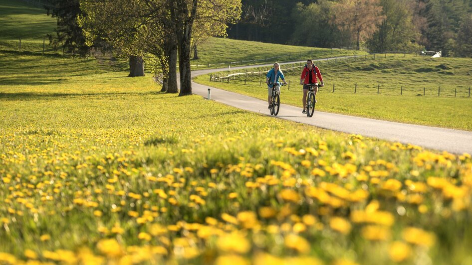 Löwenzahn_Radfahren_Oststeiermark | © Tourismusverband Oststeiermark