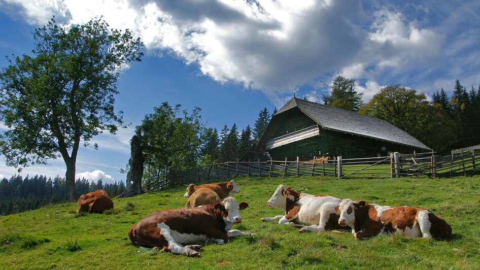 Geburtshaus | © Jakob Hiller