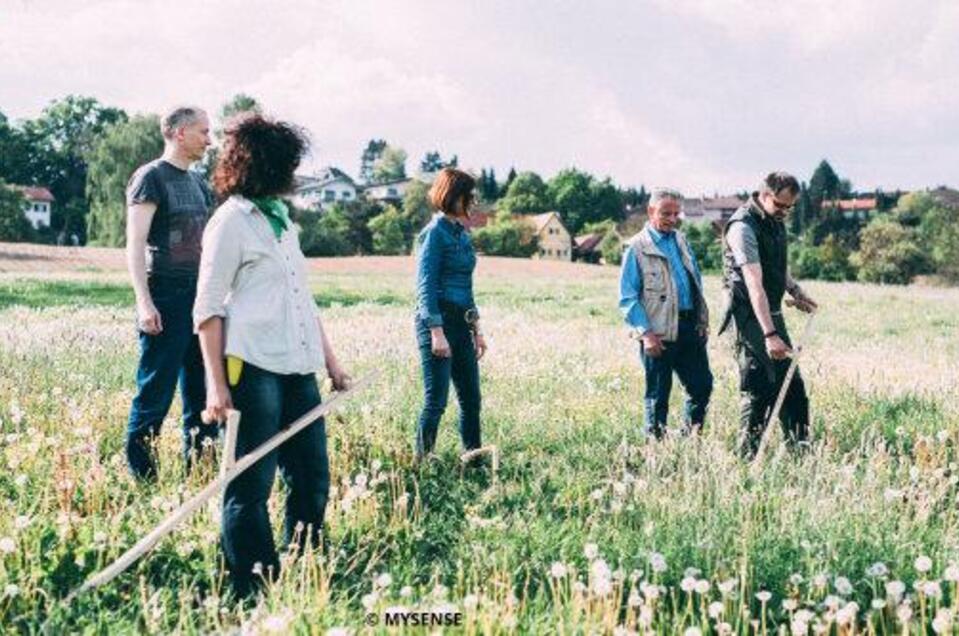 Scythe mowing in the Pöllau Valley Nature Park - Impression #1
