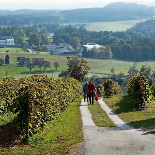 Storm hike with view to the castle Schielleiten | © Tourismusverband Oststeiermark
