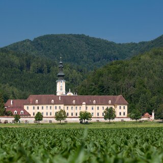Stift  Rein | © Harry Schiffer