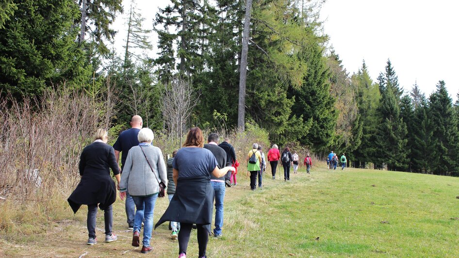 Wanderer_Vogelbeerwandertag_Oststeiermark | © Tourismusverband Oststeiermark