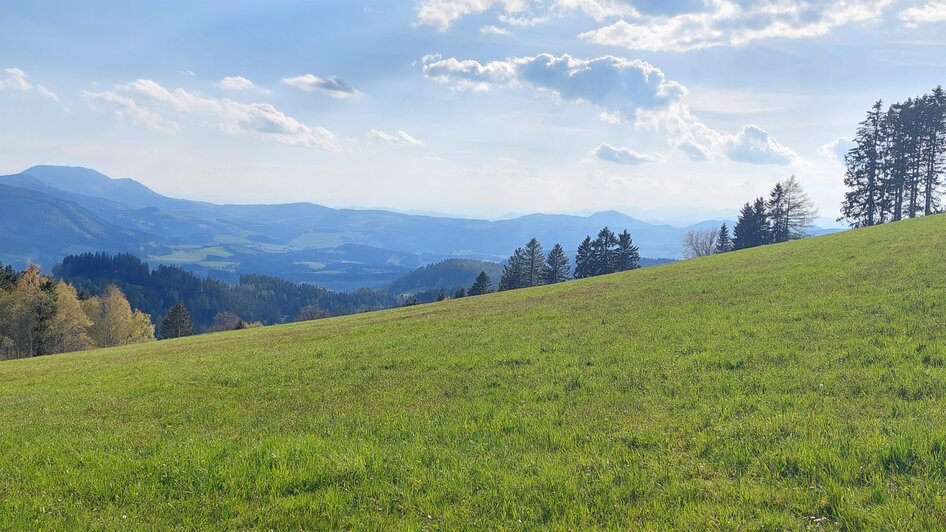 Landschaft_Vogelbeerweg_Oststeiermark | © Tourismusverband Oststeiermark
