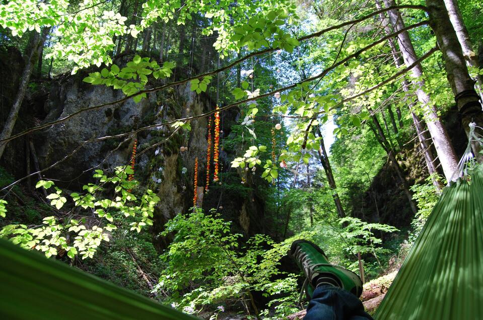 Beim Waldbaden runterkommen | © Daniela Paul
