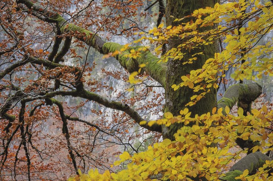 Herbstliches Duett